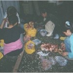 児童労働モンゴル